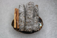 White Sage Incense Smudge Stick 5”